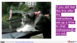 MISSING THUMBNAIL